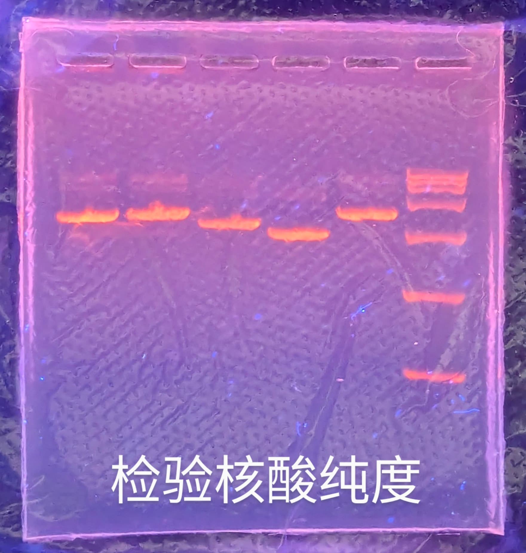 PXL_20240714_063931886~3