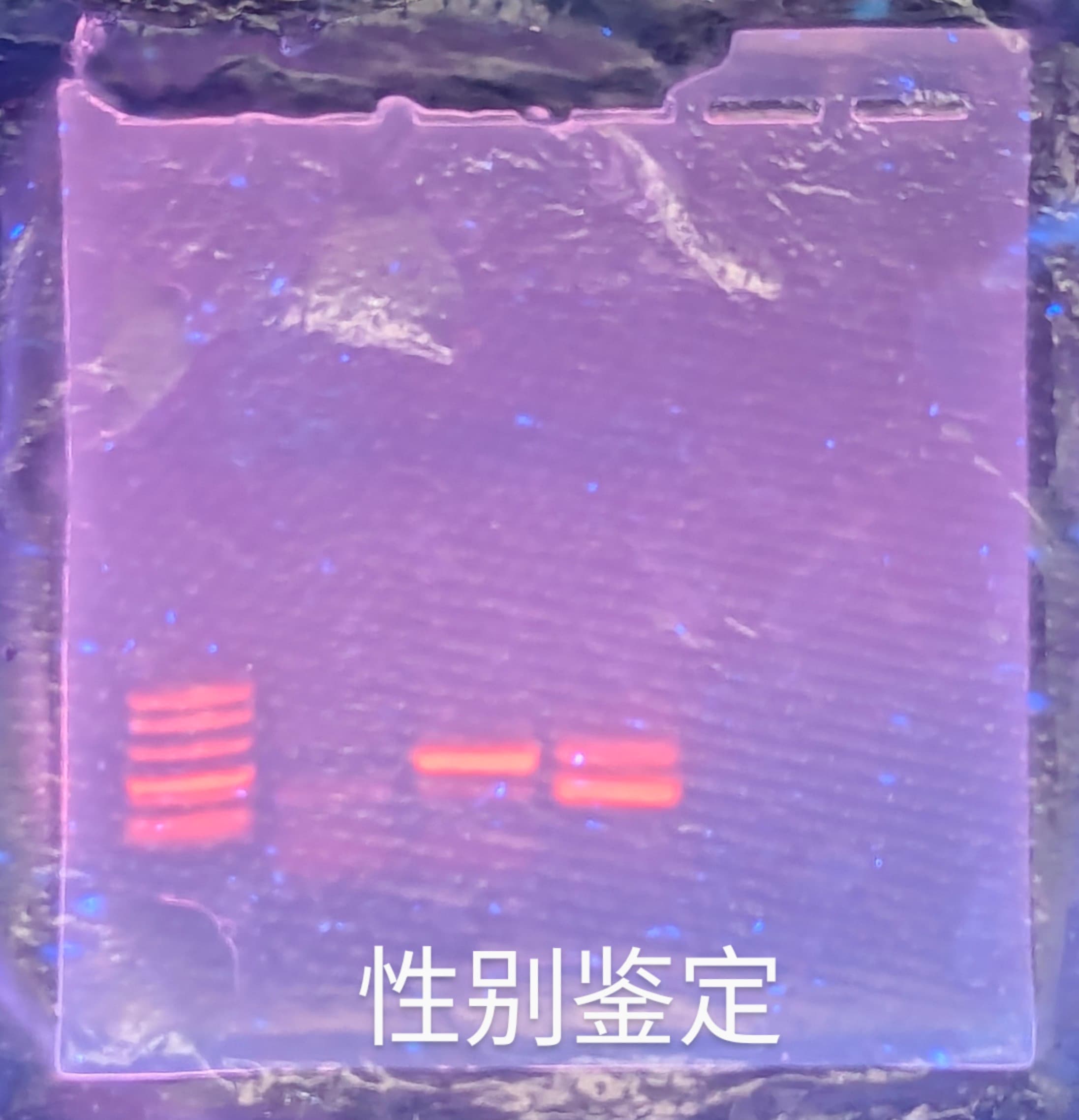PXL_20240715_074513757~2