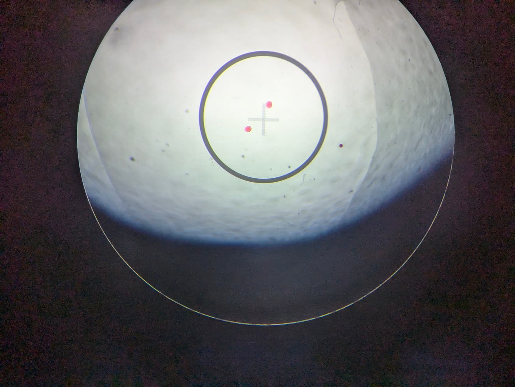 PXL_20240716_061940613