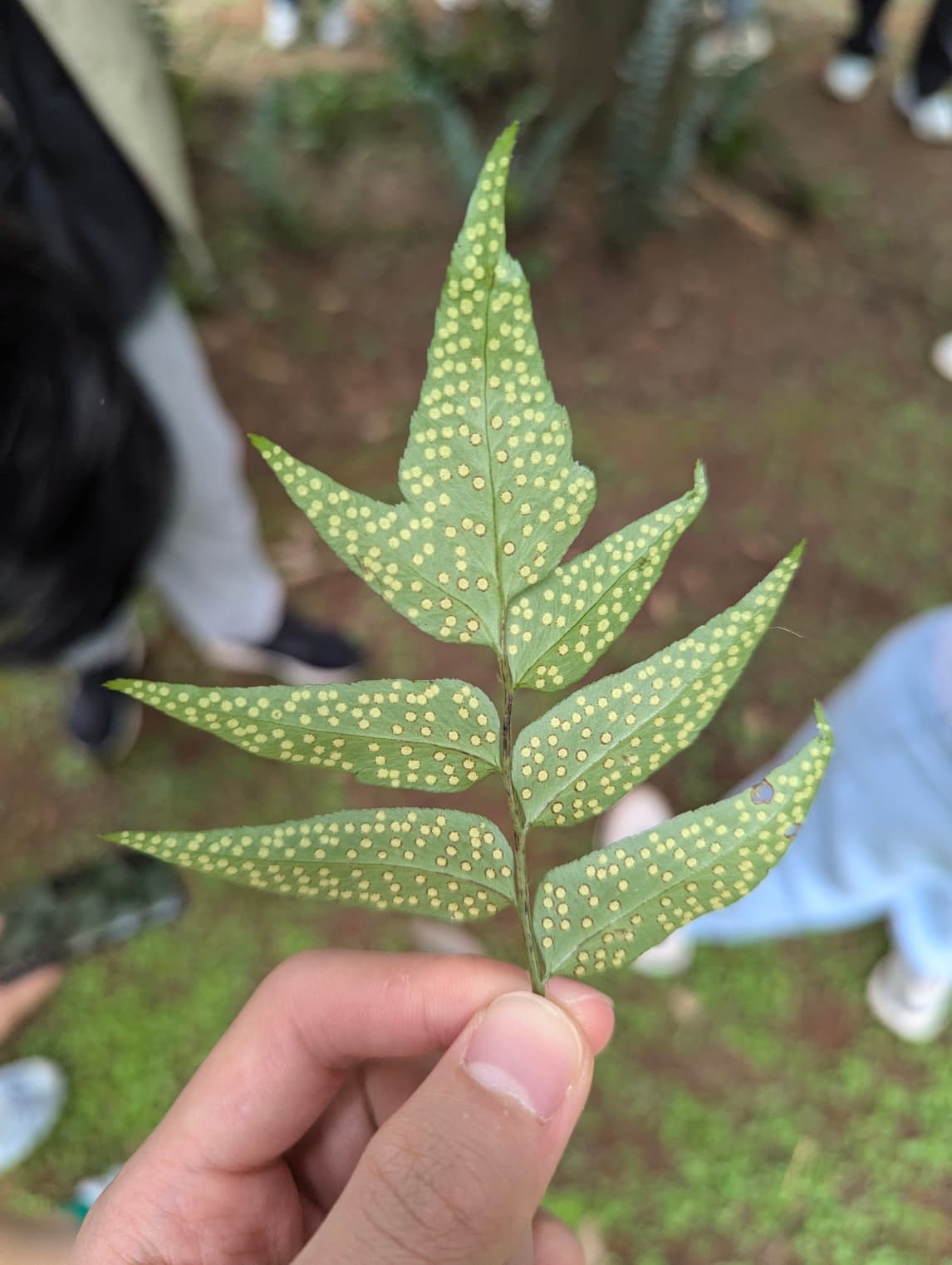 PXL_20240717_021512270